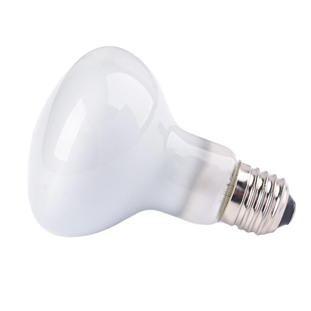 Basking Bulb Halogen - 両生類用温度調節器 ヒートランプ ハロゲン電球 UVAライト 日光浴ライト 爬虫類用