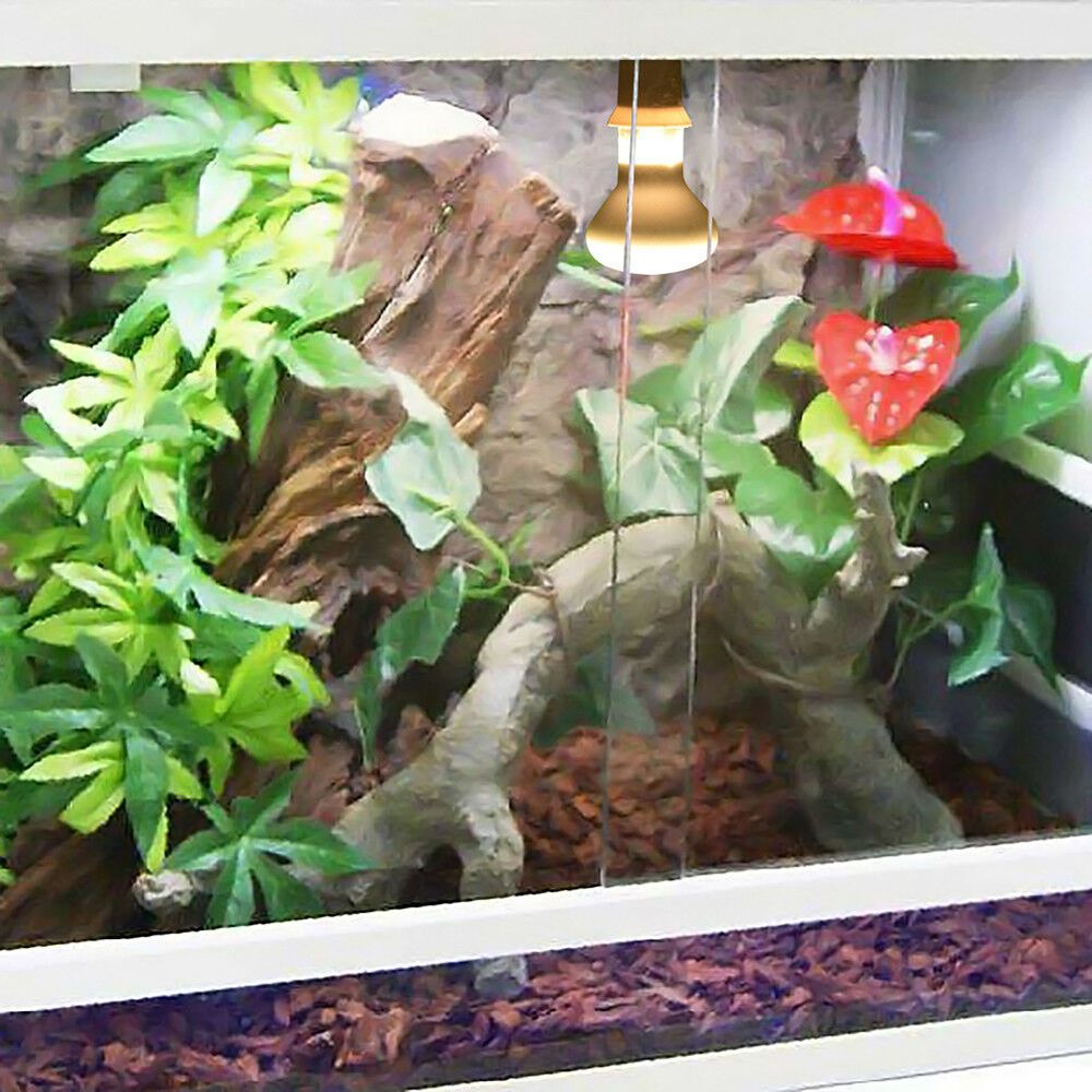 Basking Bulb Halogen - カメ用温度調節器ヒーター UVAライト 爬虫類用ハロゲン電球 日光浴ライト