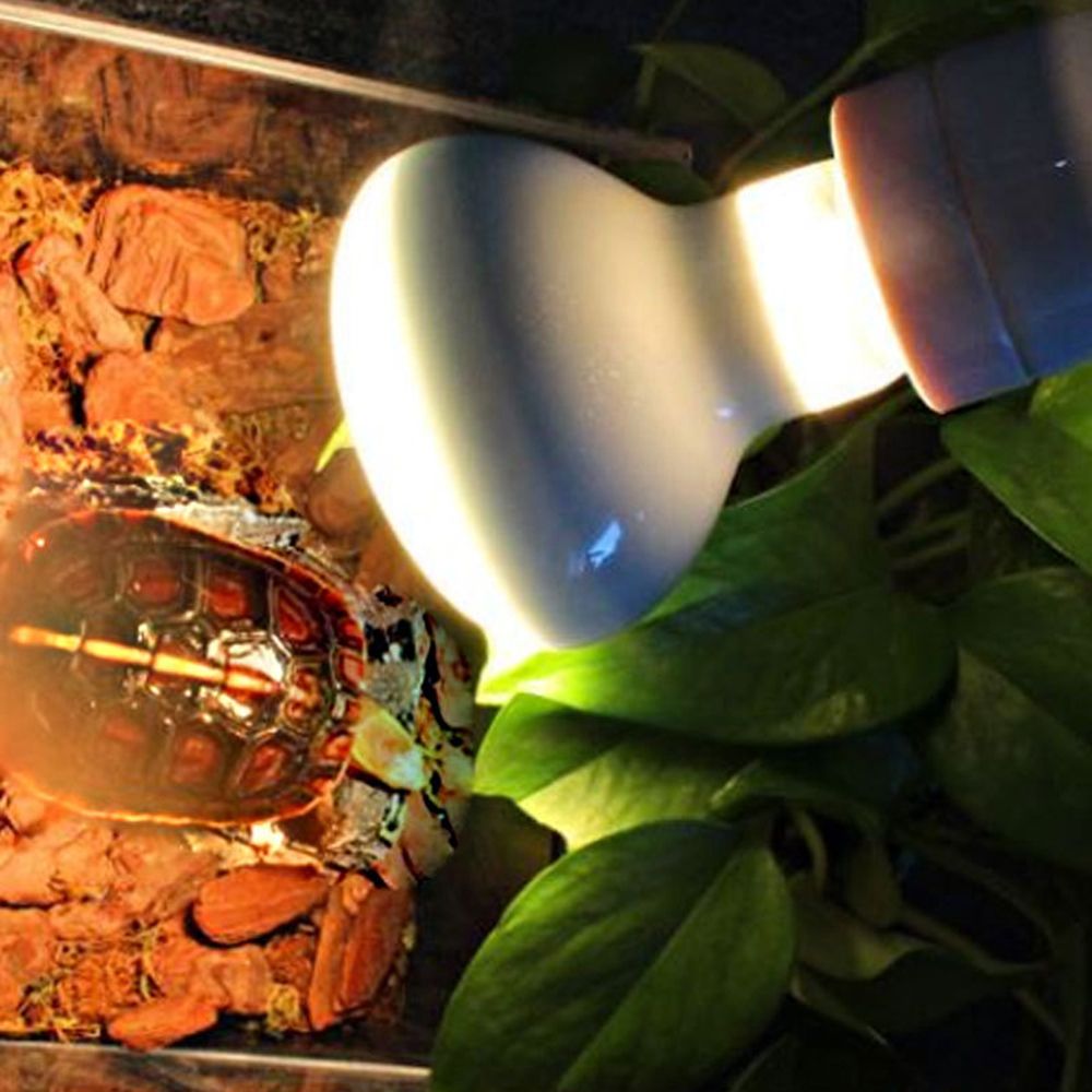 リザードヒーター温度コントローラー ハロゲン電球 UVAライ - Basking Bulb Halogen のレビューと価格