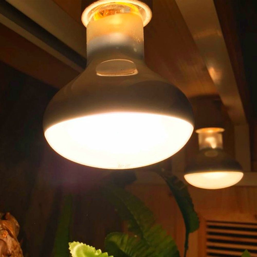 両生類用温度調節器 ヒートランプ ハロゲン電球 UVAライト - Basking Bulb Halogen のレビューと価格