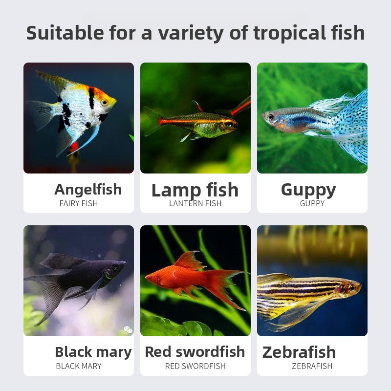 サンサン プレミアム 熱帯魚用フレークフード エンゼルフィッ - Tetra Food Tropical Flakes のレビューと価格