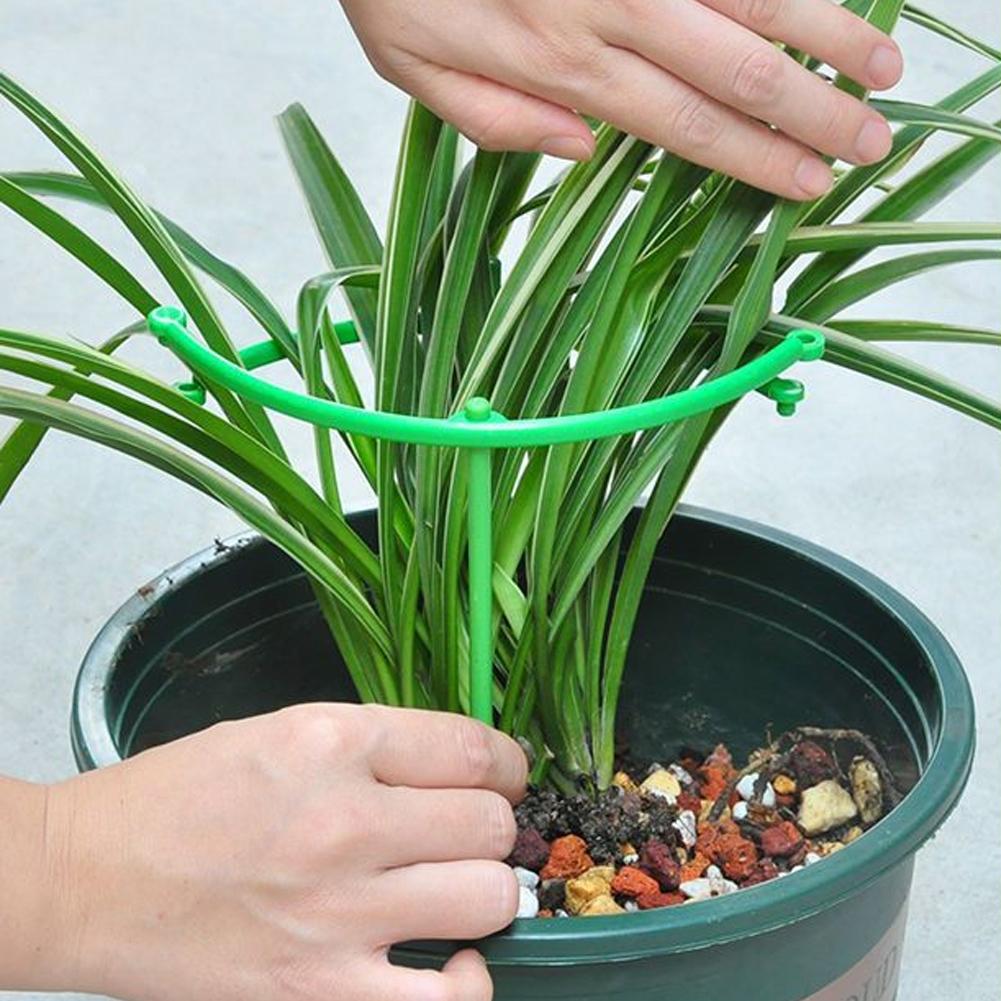 調整可能なグリーンチェック柄ガーデニング用つる性植物サポート - Vine Climbing Plastic のレビューと価格