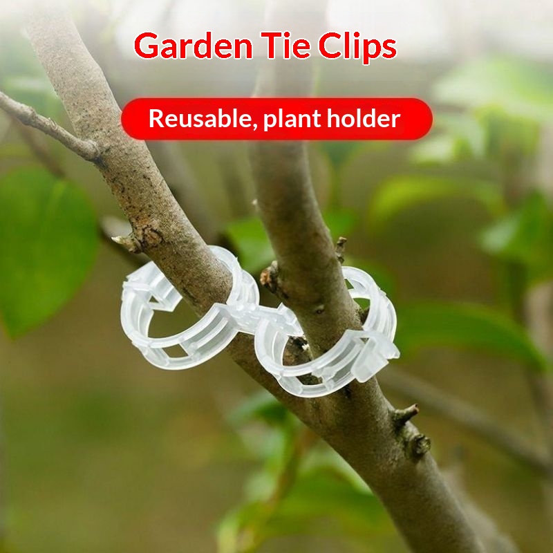 プラスチック製植物サポートクリップ 再利用可能なつる性植物固 - Vine Climbing Plastic のレビューと価格
