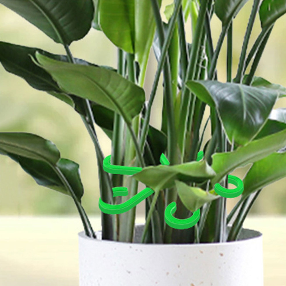 つる性植物用植物サポートクリップ12個セット 再利用可能なプ - Vine Climbing Plastic のレビューと価格